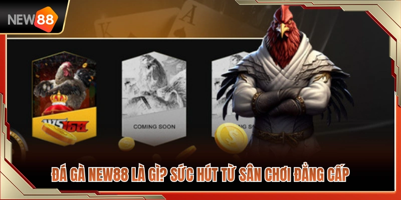 Đá Gà NEW88 1 Tổng quan và sức hút của đá gà NEW88