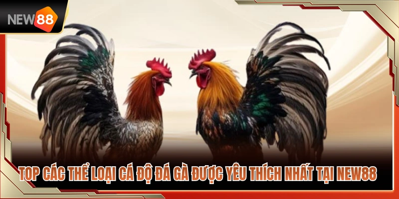 Đá Gà NEW88 2 Các hình thức cược đá gà hot tại NEW 88