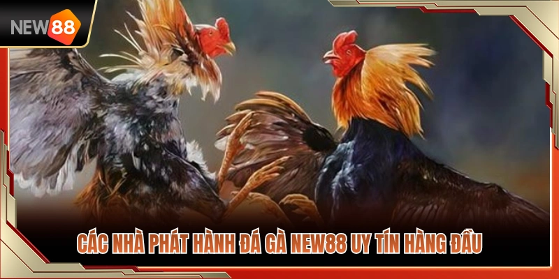 Đá Gà NEW88 3 Đối tác phát hành đá gà uy tín của NEW88