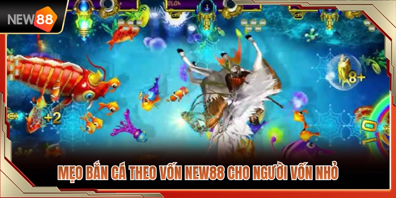 Bắn Cá Theo Vốn NEW88 – Chia Đạn Cho Vốn Nhỏ Và Vốn Trung 2 Cách bắn cá quản lý vốn NEW88 hiệu quả cho vốn nhỏ