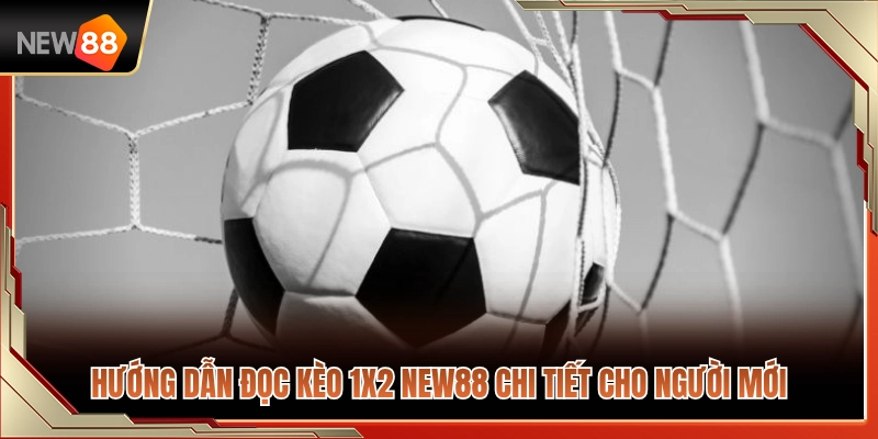 Kèo 1X2 NEW88 – Cách Đọc Thắng Hòa Thua Dễ Hiểu 3 Hướng dẫn đọc hiểu kèo 1X2 NEW88 đầy đủ cho tân thủ