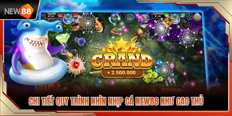 Kinh Nghiệm Nhìn Nhịp Cá NEW88 Trước Khi Chọn Mục Tiêu 4 Chi tiết các bước bắt nhịp cá NEW88 đỉnh cao như cao thủ