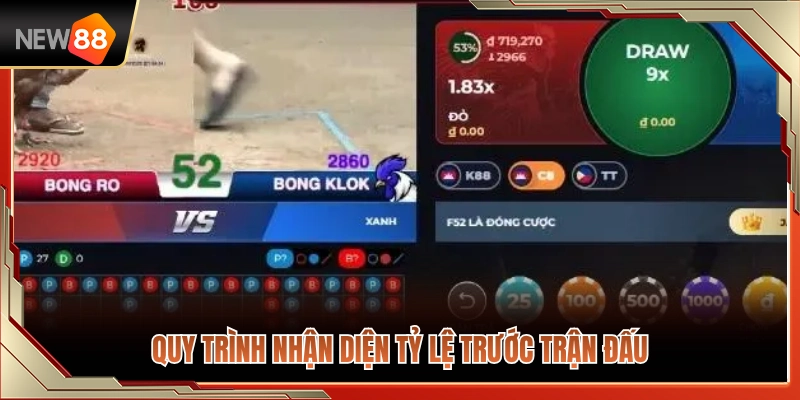 Xem Kèo Đá Gà NEW88 – Nhận Diện Tỷ Lệ Trước Khi Vào Trận 4 Quy trình soi và nhận diện tỷ lệ cược trước trận
